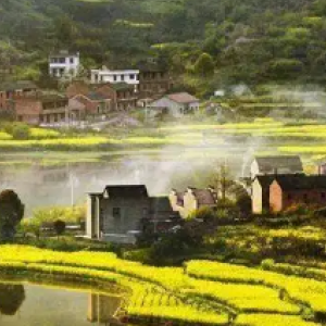 沼山村劉通灣