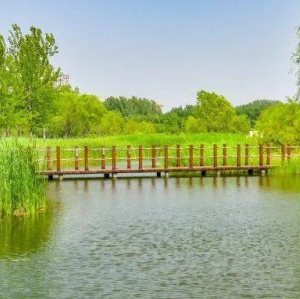 未來科技濱水公園