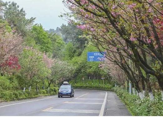 铁山大道