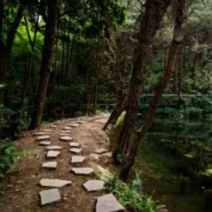 金鳳鎮(zhèn)全民健身登山步道