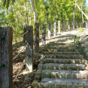 走馬鎮(zhèn)全民健身登山步道