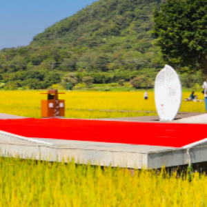 艾米天空稻田研学基地