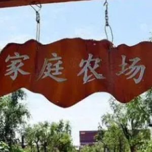 優(yōu)農(nóng)家庭農(nóng)場