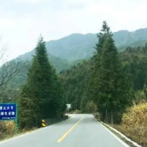 广东第一峰323国道路段