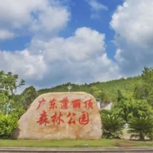 蒲丽顶森林公园