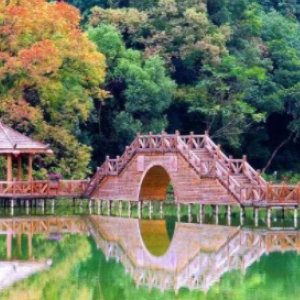 封开龙山风景区