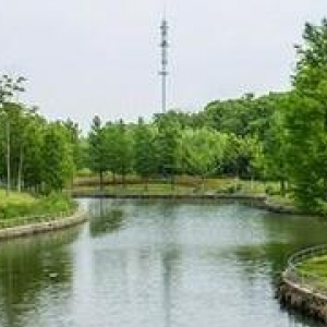 闵行公园