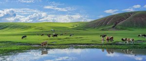1月份去内蒙古旅游合适吗？寒潮时期不建议(五月份到十月最佳)