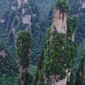 武陵源西海峰林