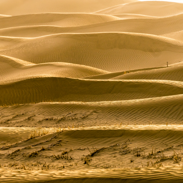 世界十大沙漠排名