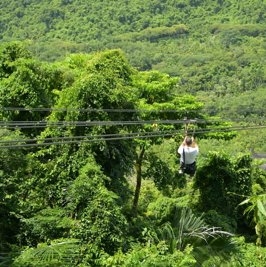 中国十大热带雨林排行榜