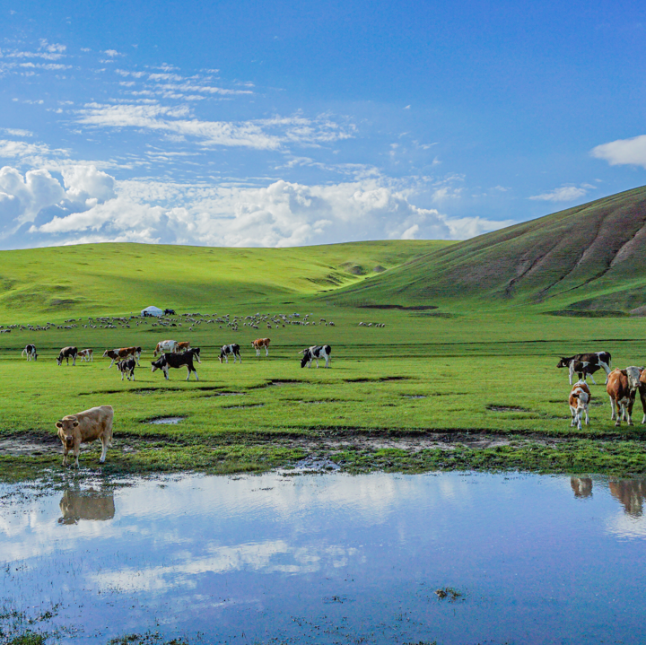 内蒙古亲子游景点排名前十-大草原上榜(游牧民族摇篮)