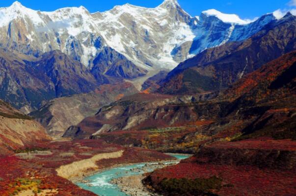 西藏看枫叶的最佳地点