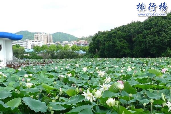 深圳十大夏季避暑旅游景点排行榜