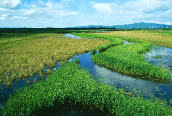 中国十大最著名的国家级湿地公园排行榜