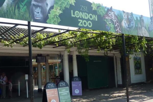 世界十大值得一去的动物园-伦敦动物园上榜(古老的动物园)