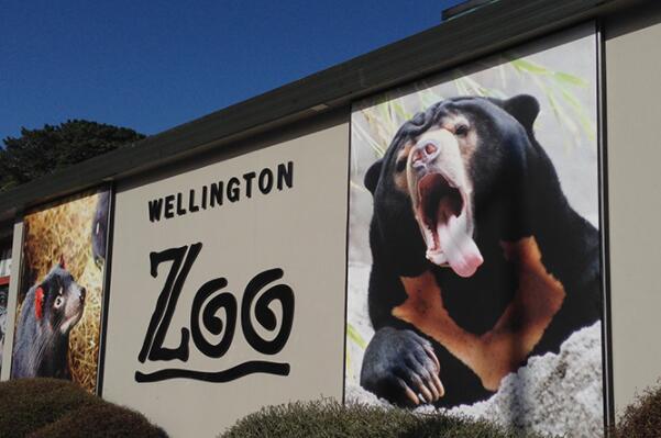全球十大最美动物园-惠灵顿动物园上榜(新西兰最大动物园)