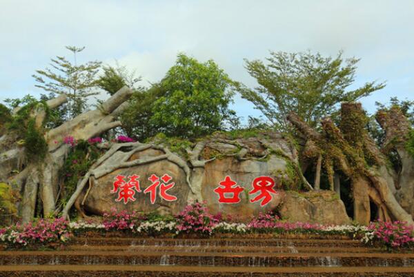 中国十大名花欣赏地-三亚兰花世界上榜(最大的兰花主题公园)
