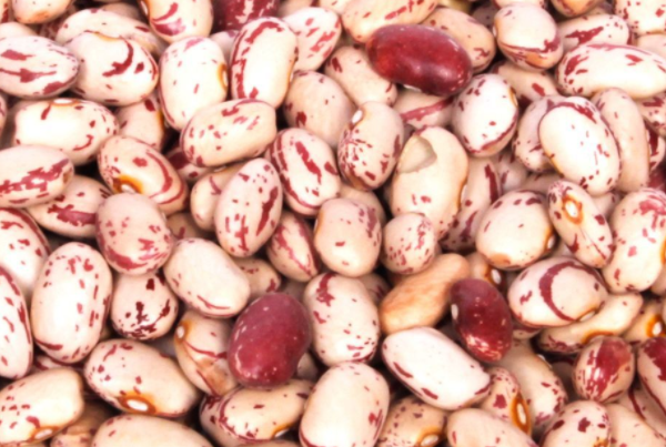 十大最受欢迎的养生豆类
