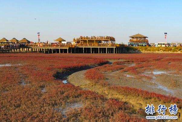 辽宁十大最好玩的地方-红海滩上榜(被誉为世界红色海岸线)