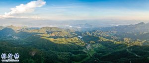 3月份去广东旅游合适吗：适合赏花(华农花卉品种多)