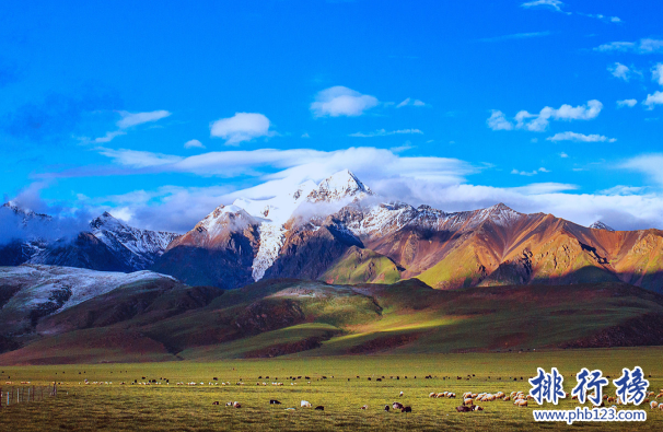 西藏十大强镇排名