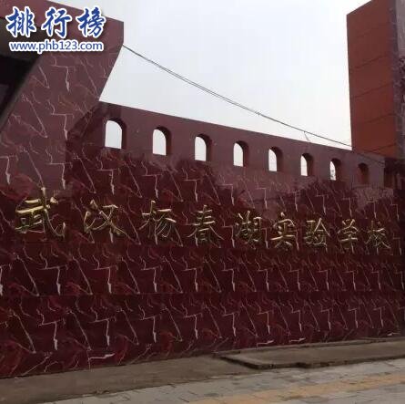 武汉杨春湖实验学校