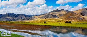 10月份去西藏旅游合適嗎：合適(魯朗林海最佳)