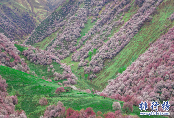 新疆十大春季旅游景区排行榜