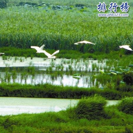 洪湖自然保护区