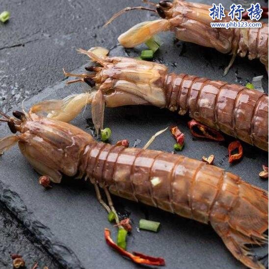 渤海湾皮皮虾
