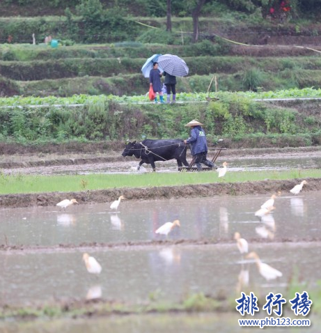 膠萊鎮(zhèn)