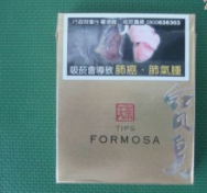 宝岛（天叶手捻）