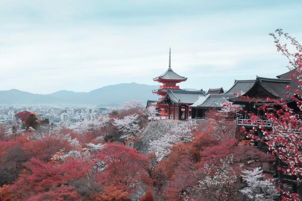 春天日本必去十大景点排名