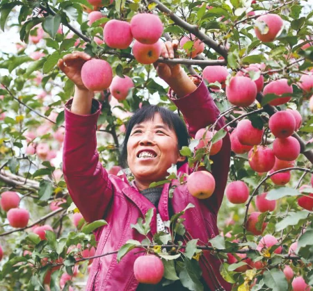 彬州新民鎮(zhèn)