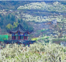 沿河南庄旅游景区