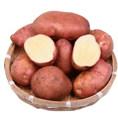 昌果红土豆