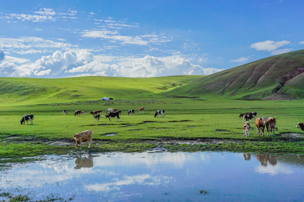 内蒙古七月份旅游最佳地方排名
