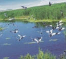 虎口湿地自然保护区