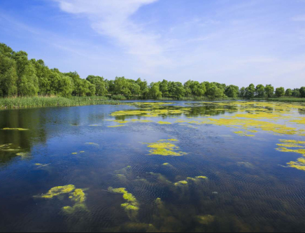 塔頭湖河國(guó)家濕地公園