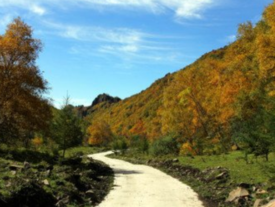 黑龙山