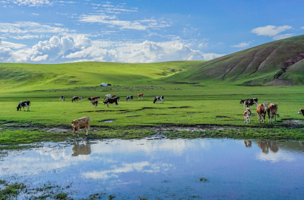 内蒙古9月好玩的景点排名
