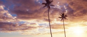 夏威夷海滩旅游攻略-度假圣地(12月到3月游玩最佳)