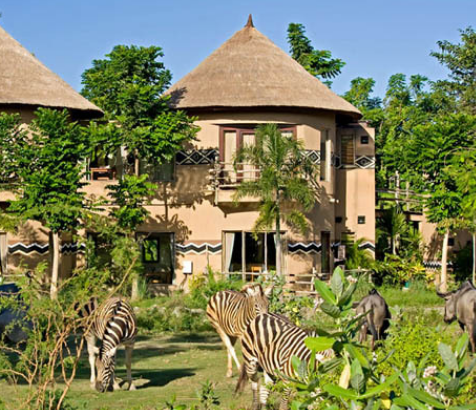 巴厘岛野生动物园