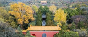 明孝陵景区游玩攻略： 中国最大帝王陵寝，明朝石刻艺术高峰