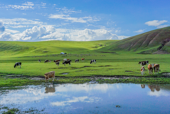 内蒙古秋季旅游景点排行榜前十名