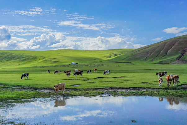 内蒙古夏季景点排行榜前十名