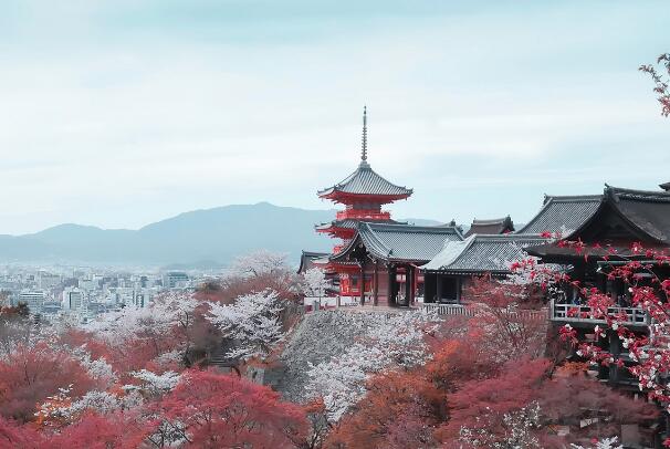 日本京都十大好玩的地方排名