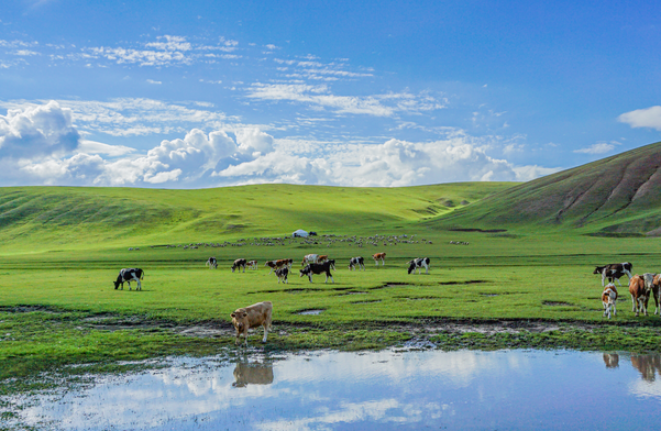 内蒙古学生旅游景点大全排名