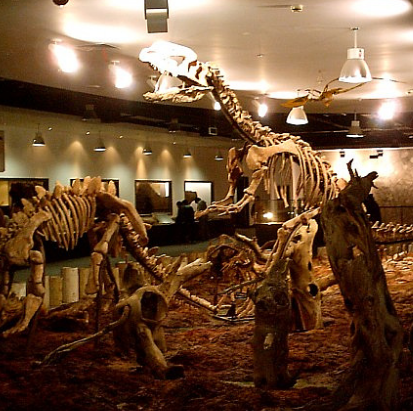 新西伯利亚国家地质博物馆